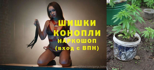 мдпв Пестово