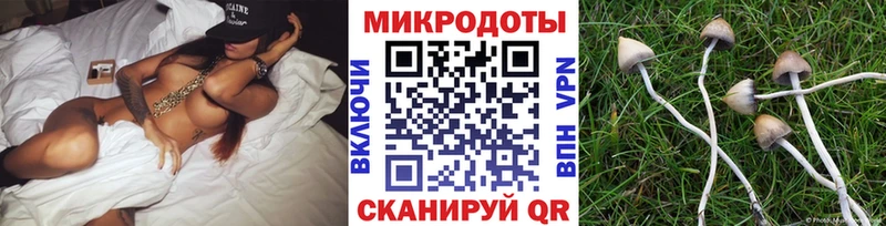 хочу   Ялта  Псилоцибиновые грибы мицелий 