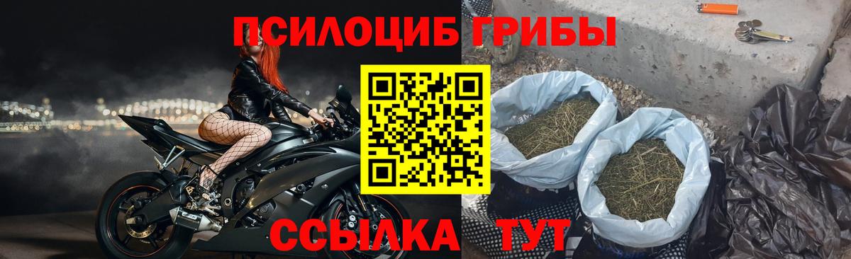 Псилоцибиновые грибы прущие грибы Ялта