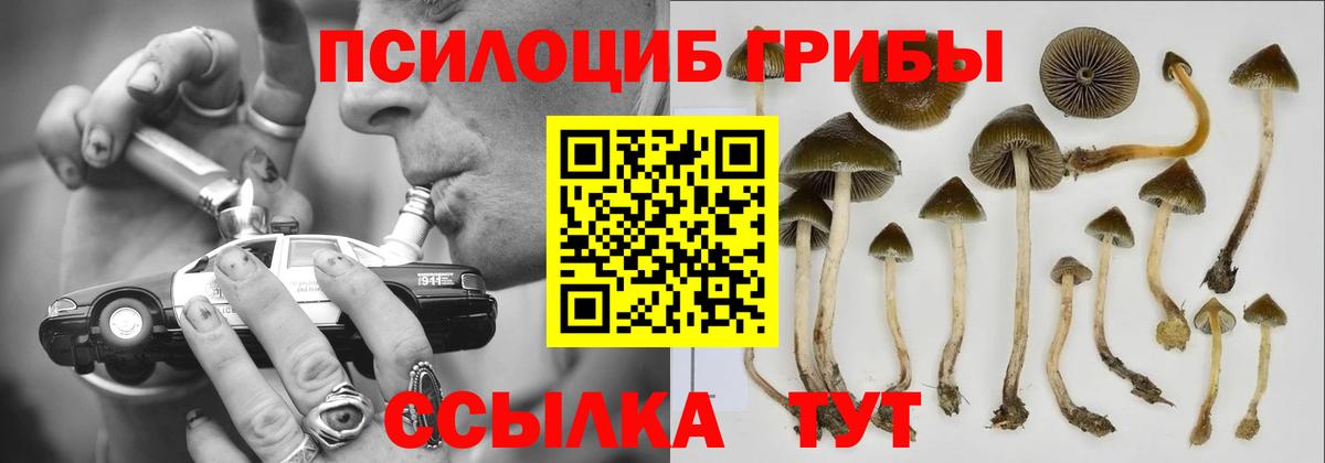 Псилоцибиновые грибы мухоморы  Вход с VPN  Ялта 